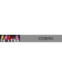 Iceberg